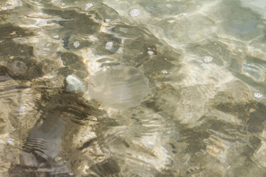 Similar image 8026661