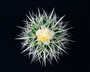 Similar image 8026686