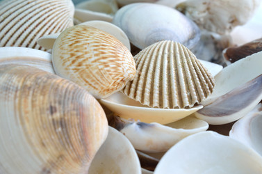 Similar image 8026688