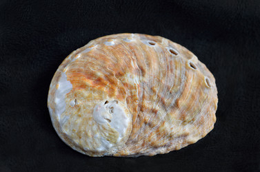 Similar image 8026690