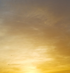 Similar image 8026752