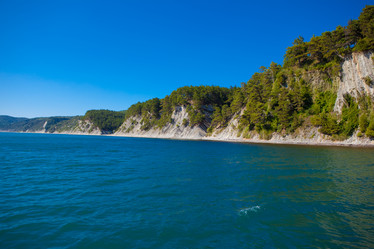 Similar image 8026773