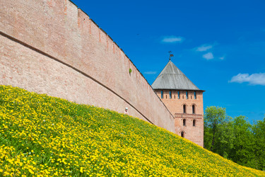 Similar image 8026776