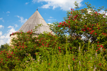 Similar image 8026782