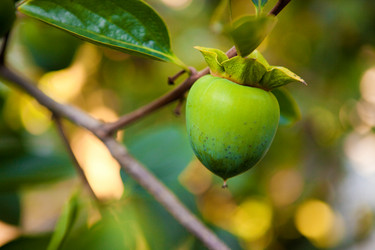 Similar image 8026820