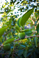 Similar image 8026821