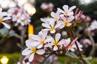 Similar image 8026917