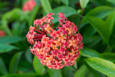 Similar image 8026918