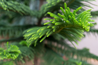 Similar image 8026919