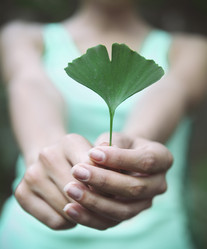 Similar image 8026942