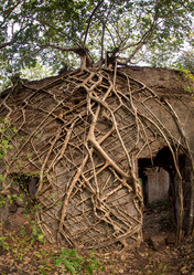 Similar image 8026960