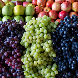 Similar image 8027052