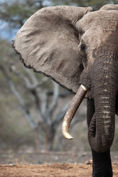 Similar image 8027055