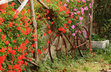 Similar image 8027069