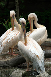 Similar image 8027077