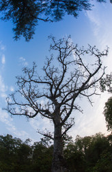 Similar image 8027083