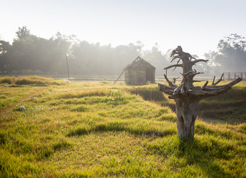 Similar image 8027085