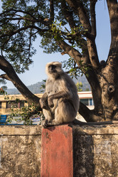 Similar image 8027089