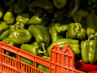 Similar image 8027115