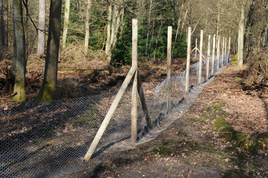 Similar image 8027117