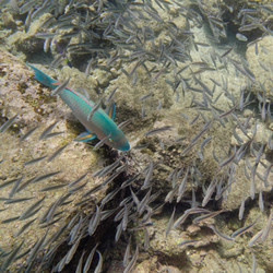 Similar image 8027119