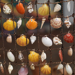 Similar image 8027126