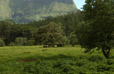 Similar image 8027133