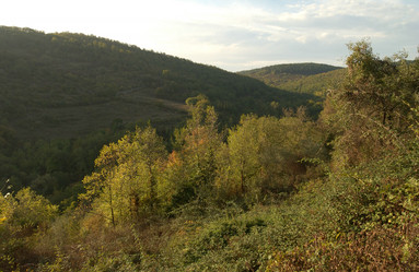 Similar image 8027134