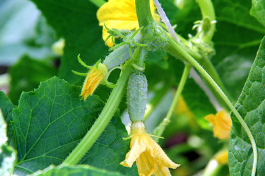 Similar image 8027140