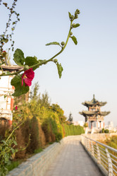 Similar image 8027150