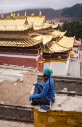 Similar image 8027158