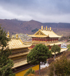 Similar image 8027171