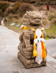 Similar image 8027174