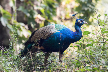 Similar image 8027178