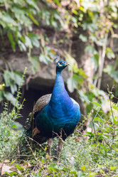 Similar image 8027180