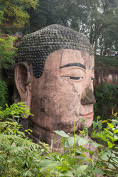 Similar image 8027181