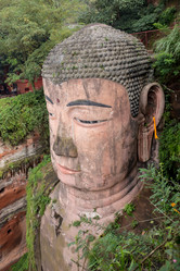 Similar image 8027182