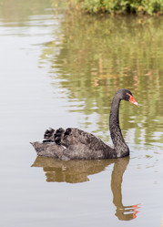 Similar image 8027184