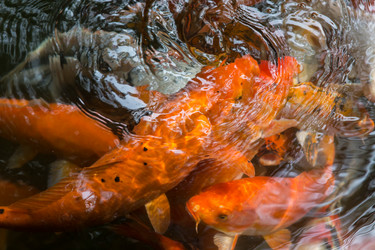 Similar image 8027190