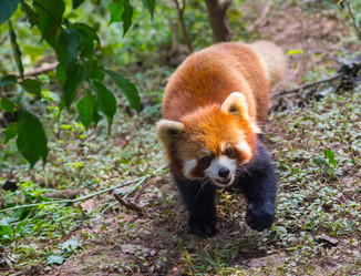 Similar image 8027193