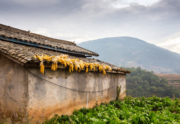 Similar image 8027203