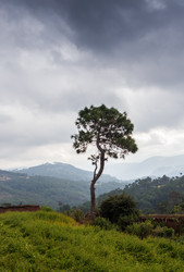 Similar image 8027204