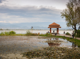 Similar image 8027206