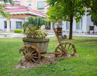 Similar image 8027209