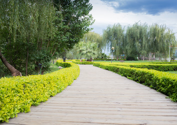 Similar image 8027210