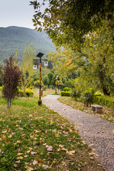 Similar image 8027213