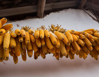 Similar image 8027216