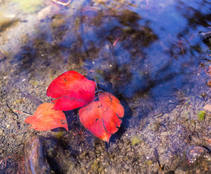 Similar image 8027222