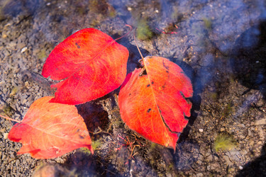 Similar image 8027224