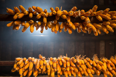 Similar image 8027229